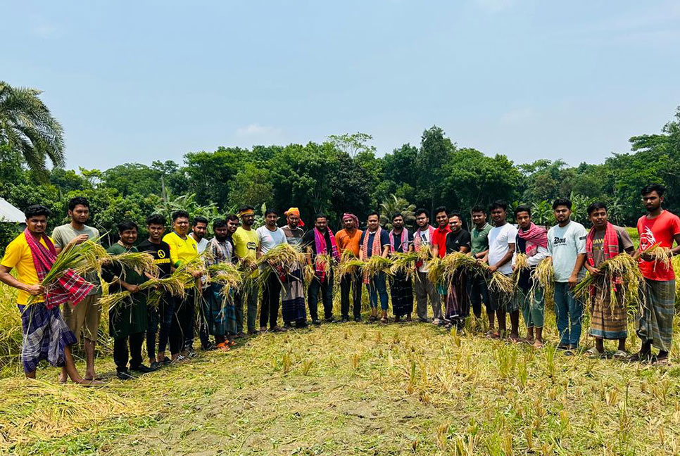মাদারীপুরে ধান কেটে কৃষকের বাড়ি পৌঁছে দিলো ছাত্রলীগ