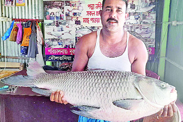 এক কাতলের দাম ২১ হাজার