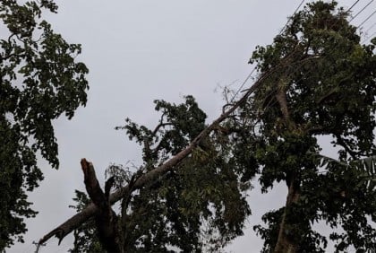 চরভদ্রাসনে কালবৈশাখী ঝড়ে তিনজন আহত  