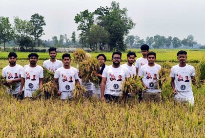 দিনাজপুরে কৃষকের ধান কেটে বাড়ি পৌঁছে দিল ছাত্রলীগ
