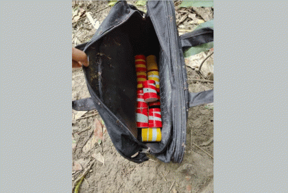 বসতবাড়ির পেছন থেকে ২৪টি তাজা বোমা উদ্ধার