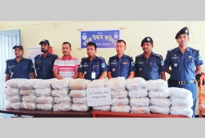 যশোরের শার্শায় প্রায় অর্ধকোটি টাকার গাঁজা উদ্ধার

