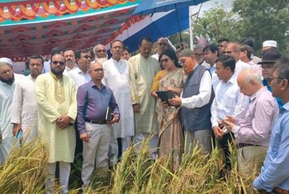 ‘নিম্নমানের বীজ সরবরাহকারী ডিলারদের লাইসেন্স বালিত করা হবে’