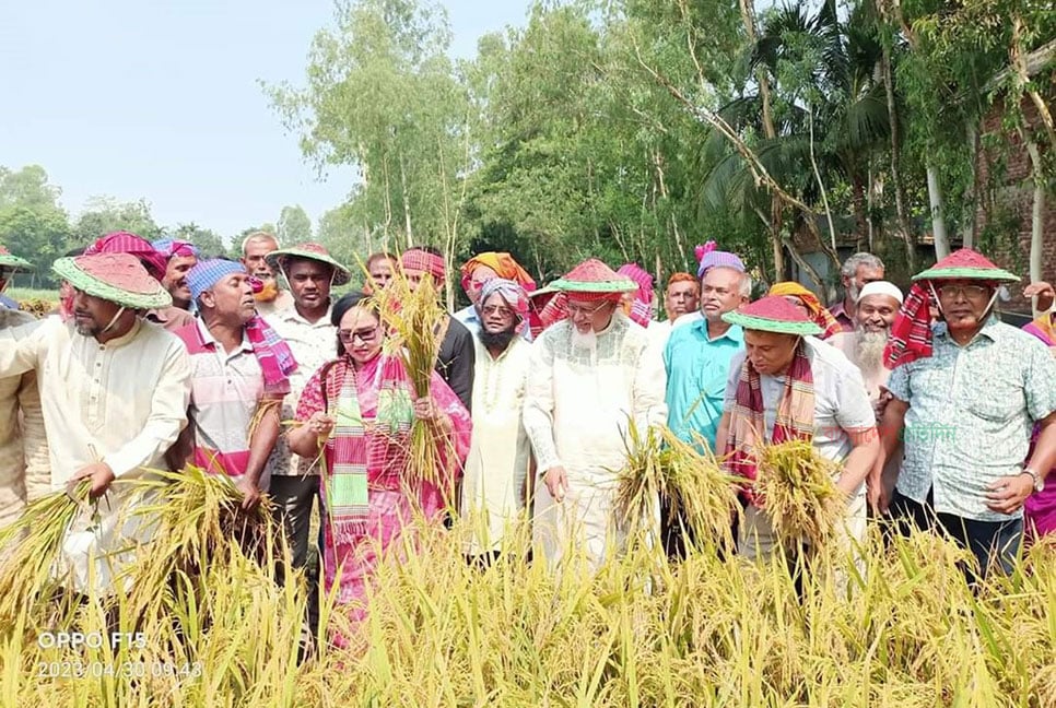 কৃষকের ধান কেটে দিলেন ধর্ম প্রতিমন্ত্রী