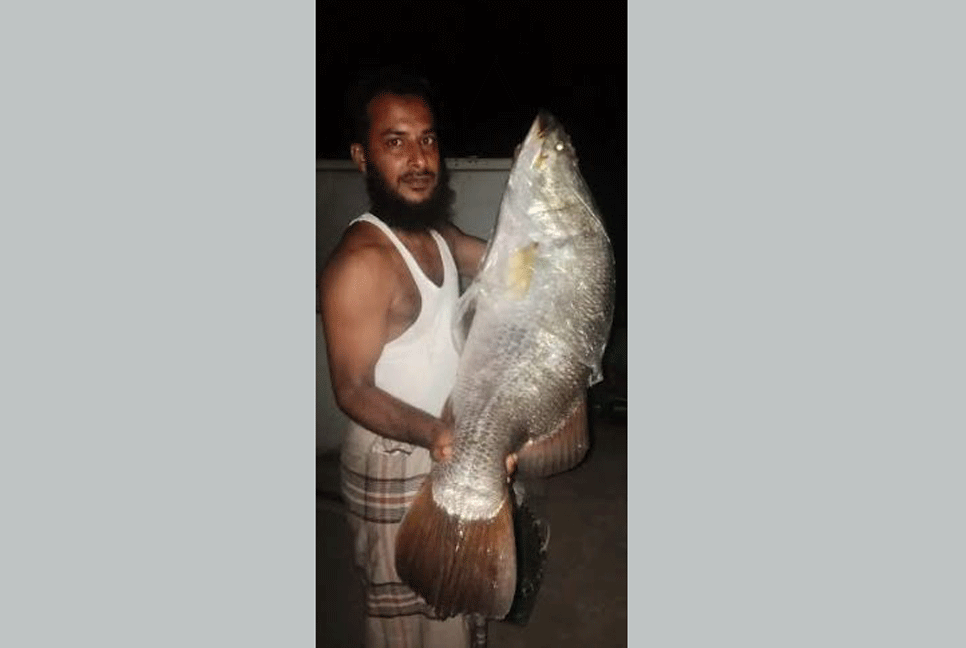 জেলের বড়শিতে ধরা পড়ল ১৪ কেজি ওজনের কোরাল 