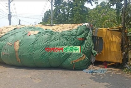 শরীয়তপুরে চট্টগ্রাম-খুলনা আঞ্চলিক সড়কে ট্রাক উল্টে যান চলাচল বন্ধ

