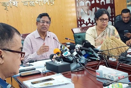 হাওরে ৯০ শতাংশ ধান কাটা শেষ