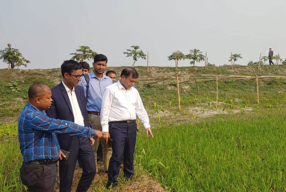 কোটালীপাড়ায় শত বছরের অনাবাদি জমিতে বোরো আবাদ