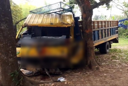 ঠাকুরগাঁওয়ে গাছের সঙ্গে ট্রাকের ধাক্কা, ব্যবসায়ী নিহত

