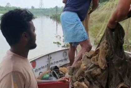 হালদা নদী থেকে তিন হাজার মিটার জাল জব্দ

