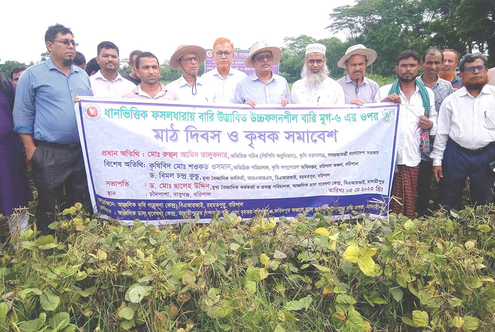 বরিশালে বারি মুগ-৬’র মাঠদিবস ও কৃষক সমাবেশ অনুষ্ঠিত