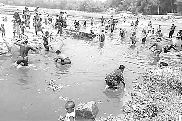 করতোয়ায় হঠাৎ মরছে মাছ