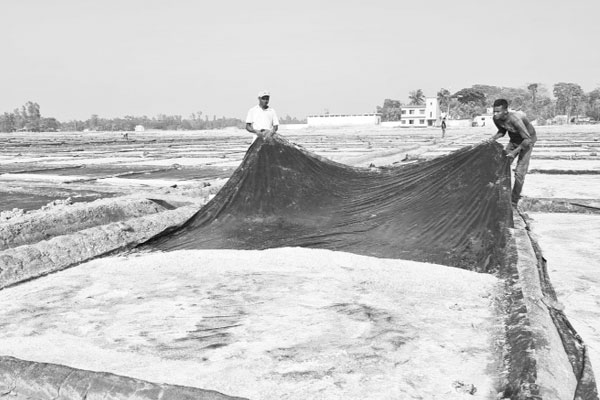 দালালে জিম্মি লবণ চাষি