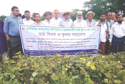 বরিশালে বারি মুগ-৬’র মাঠদিবস ও কৃষক সমাবেশ অনুষ্ঠিত