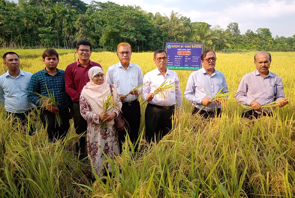 বরিশালে বঙ্গবন্ধু ধান-১০০’র মাঠ দিবস অনুষ্ঠিত