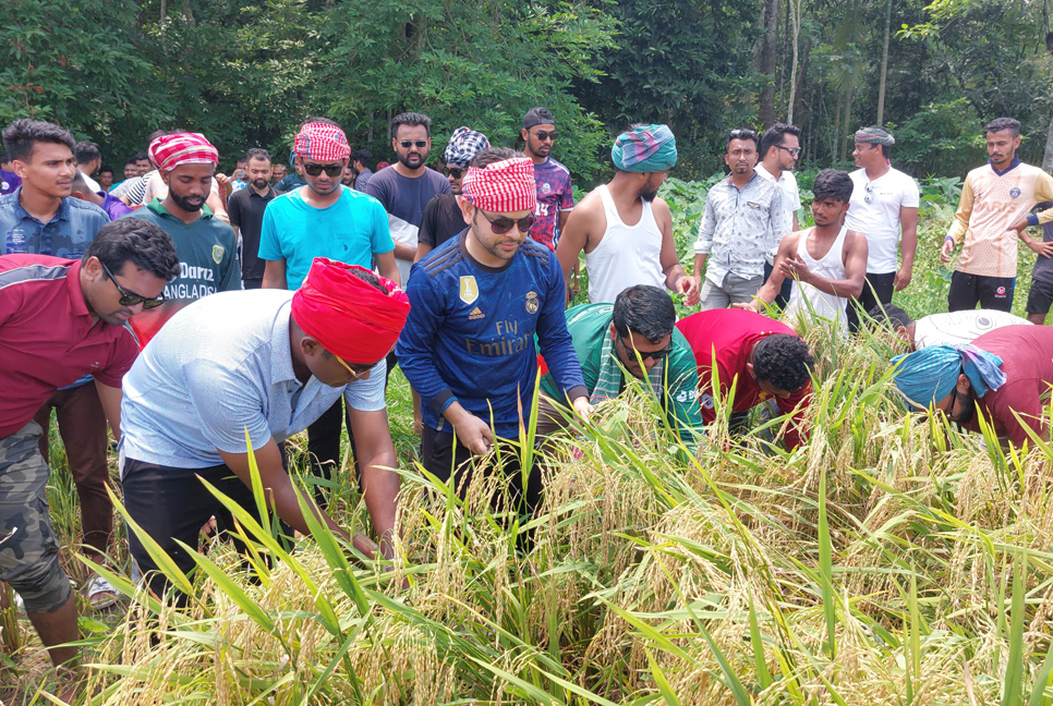 ঝালকাঠিতে কৃষকের ধান কেটে দিলো ছাত্রলীগ

