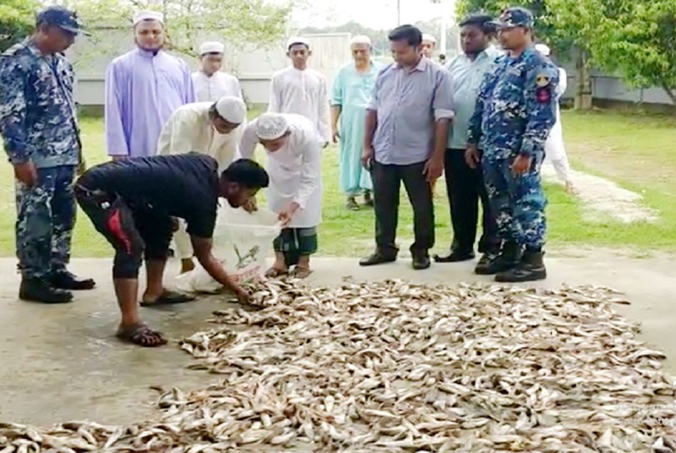 চাঁদপুরের মেঘনায় ৩০ মণ পাঙ্গাসের পোনা জব্দ
