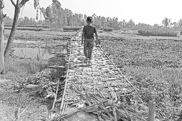 ঝুঁকি নিয়ে বাঁশের সাঁকোয় পারাপার