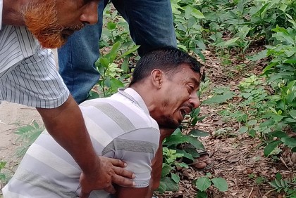 ঝিনাইদহে সড়ক দুর্ঘটনায় নিহতের সংখ্যা বেড়ে ৭
