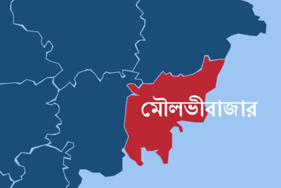 হাতির আক্রমণে মাহুতের মৃত্যু
