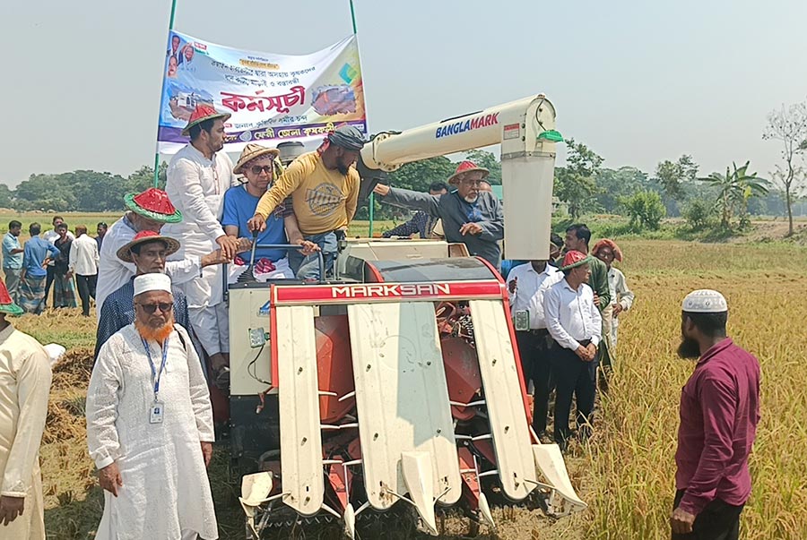 ফেনীতে কৃষক লীগের ধান কাটা উৎসব