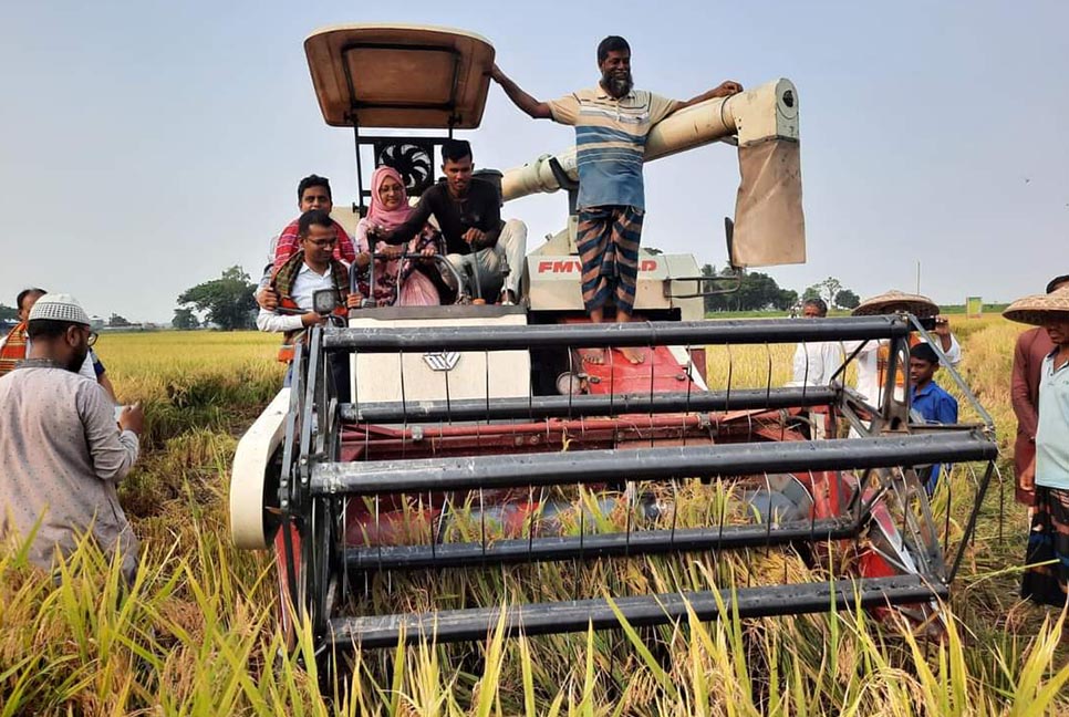 নেত্রকোনায় কৃষকদের ধান কেটে দিল কৃষি বিভাগ 