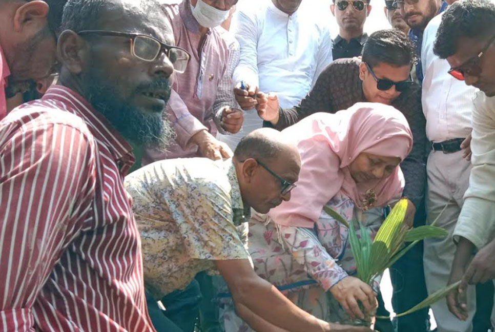 বেতাগী-বামনা ও পাথরঘাটার উপকূলীয় এলাকায় বৃক্ষ রোপণ কর্মসূচির উদ্বোধন