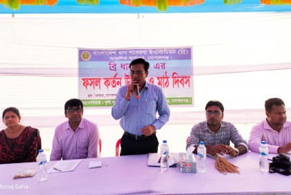 নতুন উদ্ভাবিত ব্রি ধান ১০১’র মাঠ দিবস