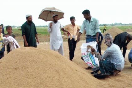 সরকারের ধান কিনতে দেরি, কম দামেই বিক্রি করছেন কৃষকরা

