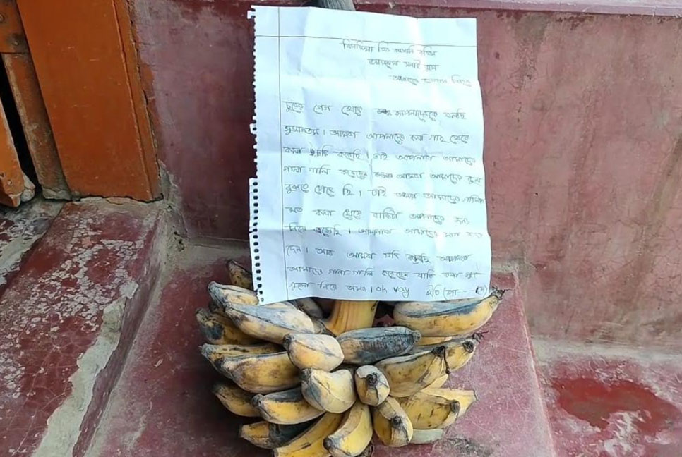 ব্রাহ্মণবাড়িয়ায় কলার কাঁদি চুরি করে ক্ষমা চেয়ে ফেরত দিল চোর