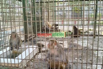 গরমে কাবু চিড়িয়াখানার ৩১ প্রজাতির ২৫৩ প্রাণি

