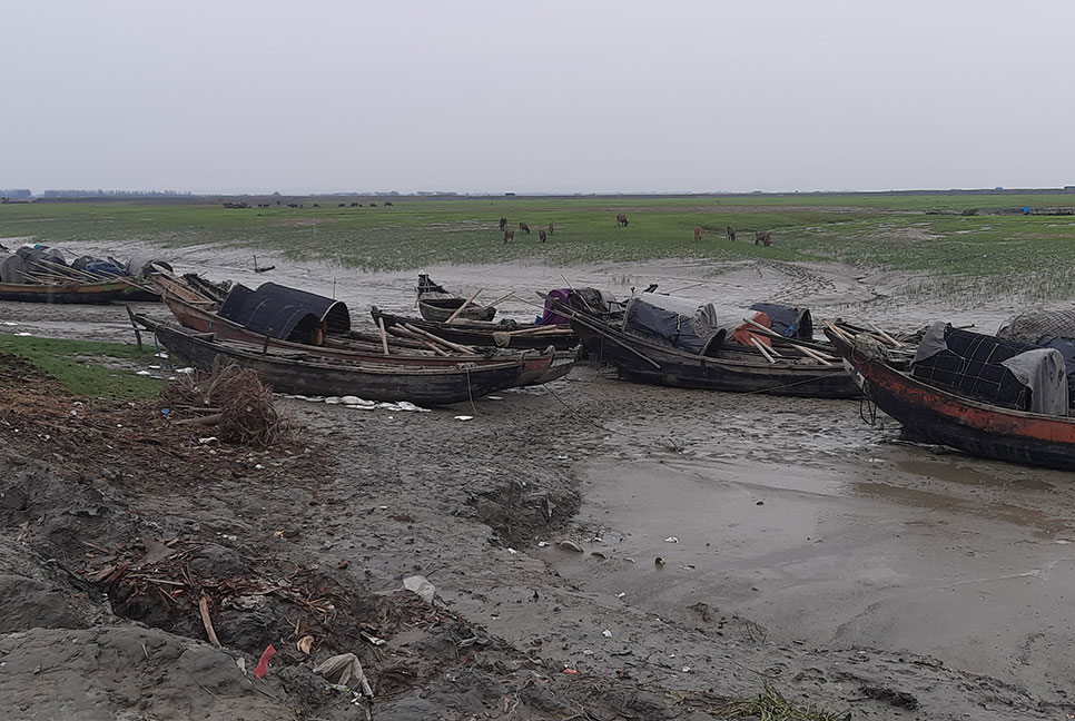 সোনাগাজীর উপকূলীয় অঞ্চল অরক্ষিত, ৫১ বছরেও হয়নি আউটার বেড়িবাঁধ 