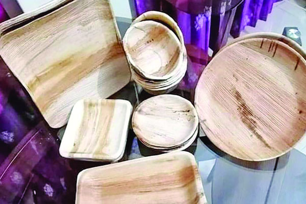 সুপারি গাছের খোলে নান্দনিক তৈজসপত্র