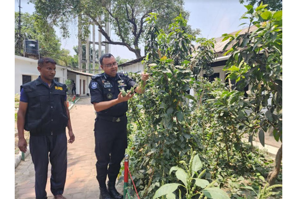 র‌্যাবের উঠান যেন কৃষকের
একখণ্ড সবুজ জমি