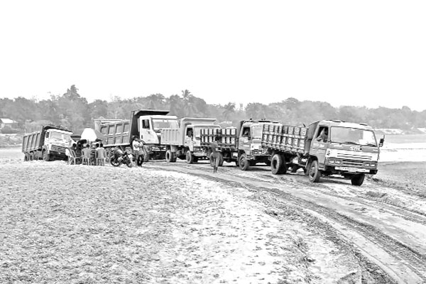নাটোরে পদ্মার বালু-মাটি লুট