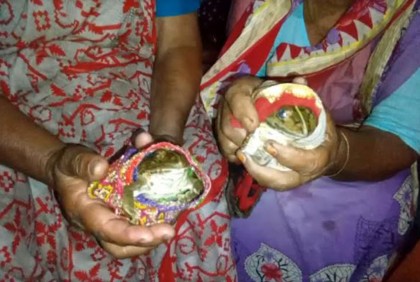 বৃষ্টির আশায় ঠাকুরগাঁওয়ে ব্যাঙের বিয়ে