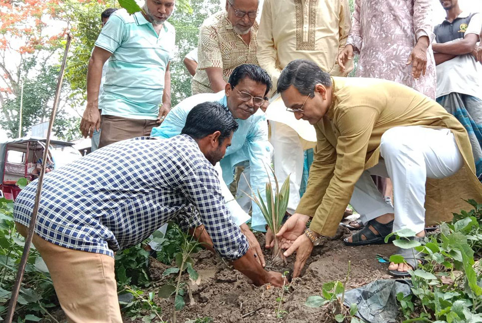 বেতাগীতে ‘প্রকৃতি ও জীবন’ ক্লাবের উদ্যোগে বৃক্ষ রোপণ