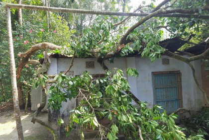 রংপুরে ঝড়ে সহস্রাধিক ঘর ক্ষতিগ্রস্ত