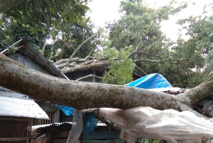 গলাচিপায় কালবৈশাখীর তাণ্ডব