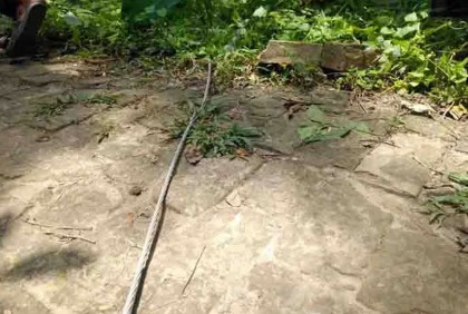 ঝালকাঠিতে পল্লী বিদ্যুতের তার  ছিড়ে প্রাণ গেল মাদ্রাসাছাত্রের 