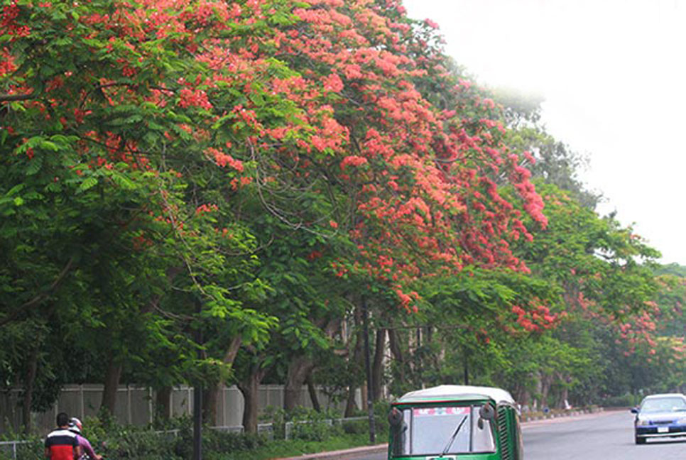আজ সহনীয় ঢাকার বায়ু