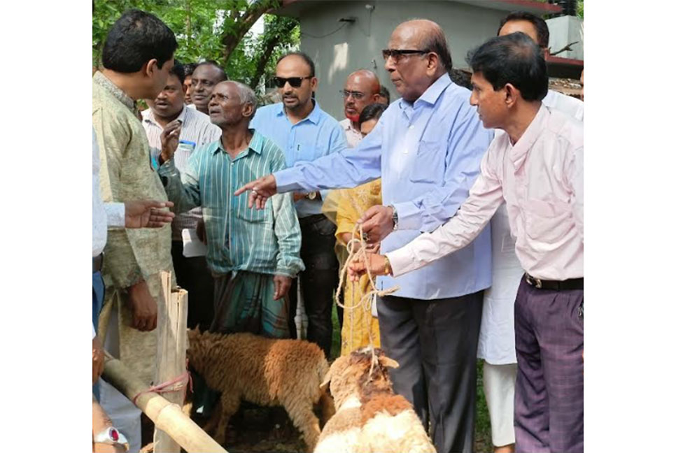 গুরুদাসপুরে দরিদ্রদের মাঝে
ভেড়া বিতরণ