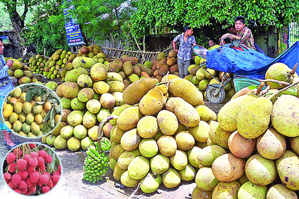 পাহাড়ে মৌসুমি ফলের বাম্পার ফলন