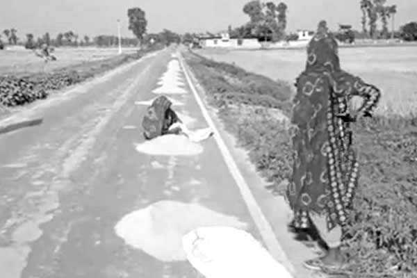 আঞ্চলিক সড়ক যেন ‘চাতাল’