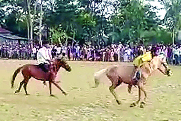 ঘোড়দৌড়