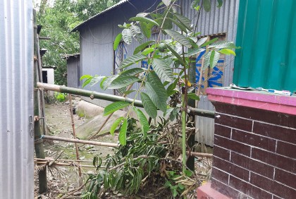 মাতব্বরের আদেশে একঘরে অসহায় পরিবার
