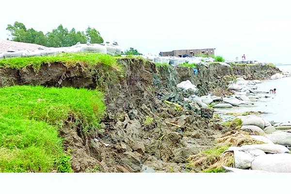 অসময়ে আগ্রাসি পদ্মা বিলীন হচ্ছে বাড়িঘর