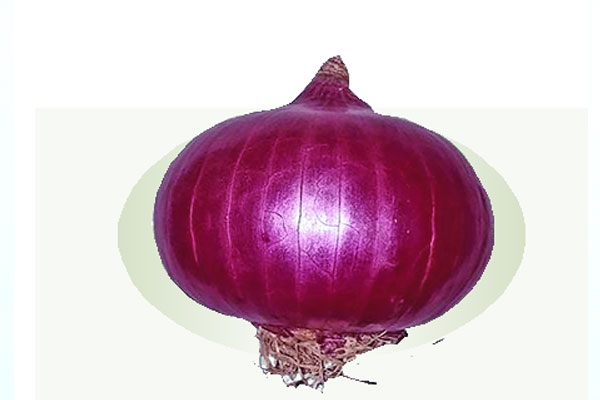 বাজারে পিঁয়াজের ঝাঁজ