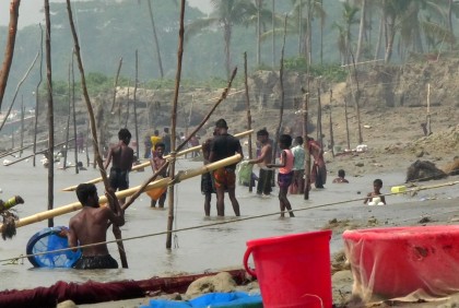 মেঘনায় চলছে বাগদা-গলদা চিংড়ি ধরার মহোৎসব 