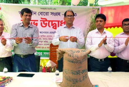 লক্ষ্মীপুরে বোরো সংগ্রহ অভিযানের উদ্বোধন